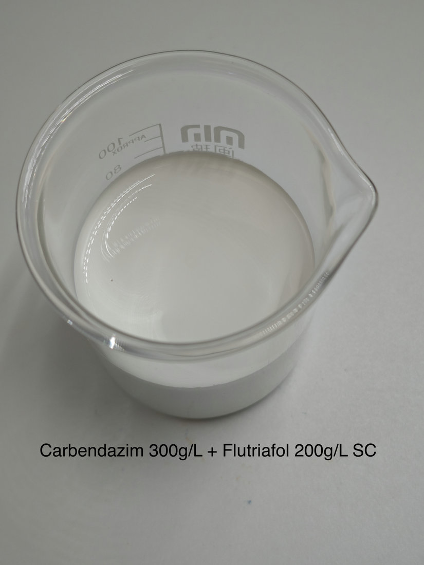 Carbendazim 300g/L + Flutriafol 200g/L SC